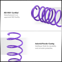 Load image into Gallery viewer, Acura TL 1998-2003 / CL 2001-2003 / Honda Accord 1998-2002 Lowering Springs Purple (Front ~2.25&quot; / Rear ~2.25&quot;)
