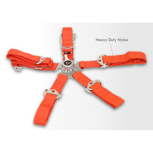 Load image into Gallery viewer, Universal TWE 5 Point Camlock 2&quot; Racing Seat Harness Belts Red
