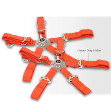 Load image into Gallery viewer, Universal TWE 5 Point Camlock 2&quot; Racing Seat Harness Belts Pair Red
